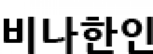 [베트남]비나한인