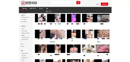 안전지대 안전지대